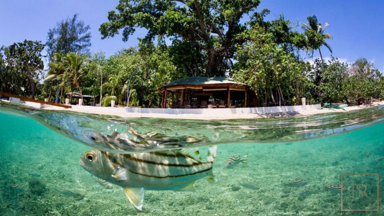 Property VANUATU, French Polynesia top for sale For Super Rich